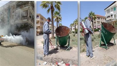 استمرار جهود الإصحاح البيئي بدمياط، تطهير مصرف البساتين ومكافحة الحشرات (صور)