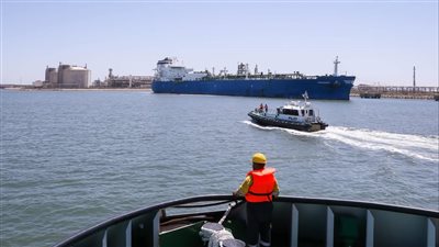 استيراد 14 طن زيت طعام وفول وقمح عبر ميناء دمياط