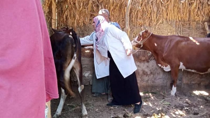 تحصين الماشية ضد