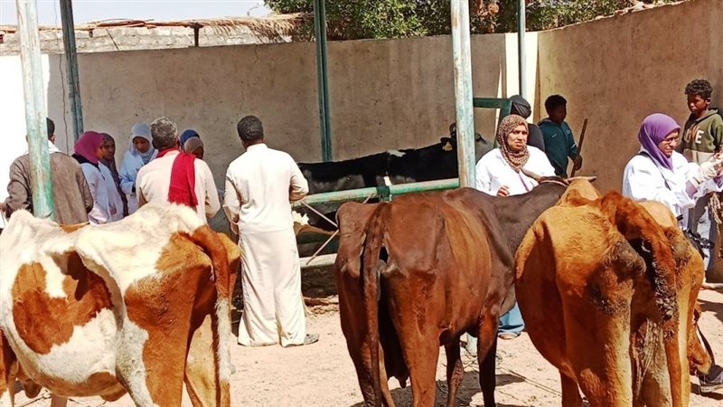 الحملة القومية لتحصين