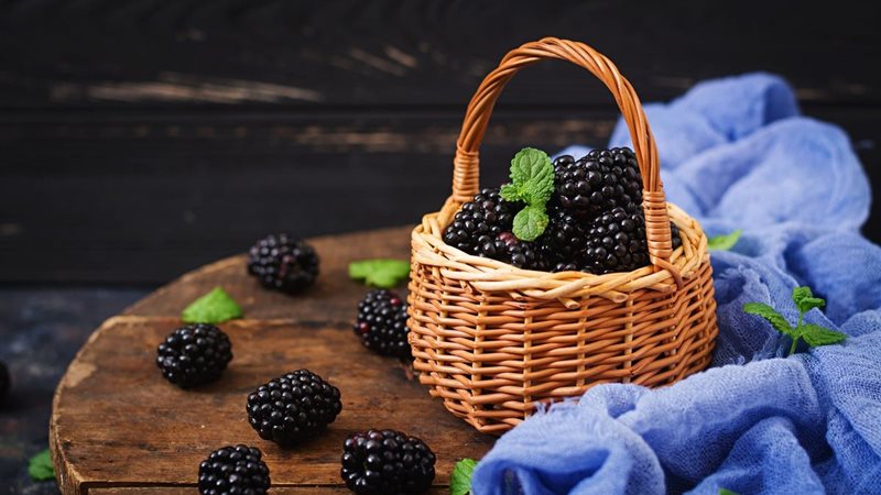 فوائد التوت الأسود