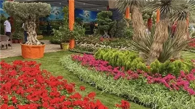 بالإنفوجراف، نشاط معرض زهور الربيع بالمتحف الزراعي في الدقي خلال إجازة العيد