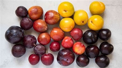 تفسير حلم البرقوق في المنام وعلاقته بحدوث متاعب ومشاكل 