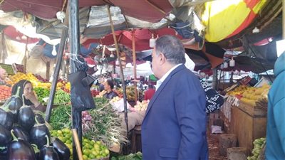 محافظ الدقهلية في جولة تفقدية بشوارع المنصورة 