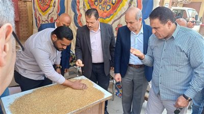 التموين: استلام 70 ألف طن قمح محلي بالفيوم في أول أيام الموسم الجديد