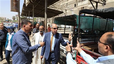 حظر سير سيارات البيك أب في شوارع مدينة المنيا 