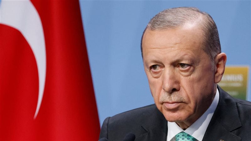 أردوغان، فيتو