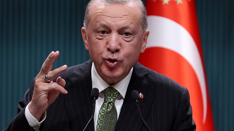 أردوغان، فيتو