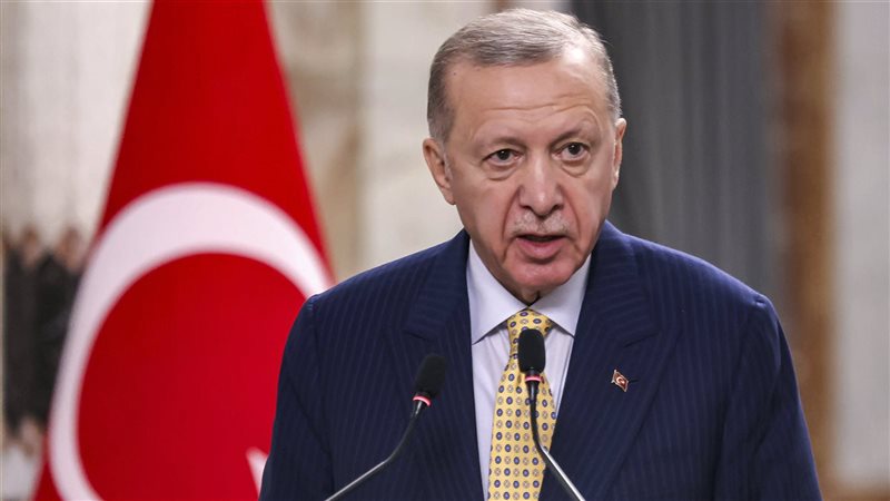أردوغان، فيتو