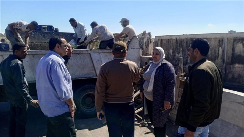 الإسكندرية 