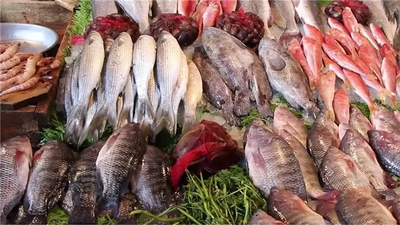 سعر السمك اليوم،