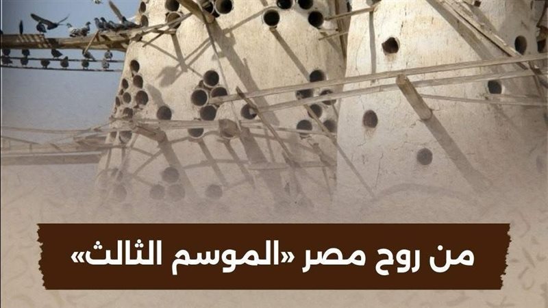سلسلة من روح مصر،