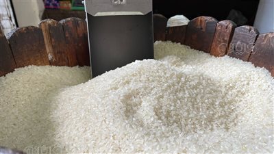  استقرار أسعار الأرز اليوم الجمعة في الأسواق