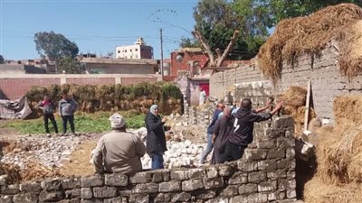 محلية الوقف بقنا تزيل تعديات على 1395 مترًا من الأراضي الزراعية وأملاك الدولة 