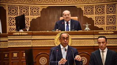 مطالب بالشيوخ لحل القصور التشريعي بقانون التجارة بشأن شركات الأشخاص 