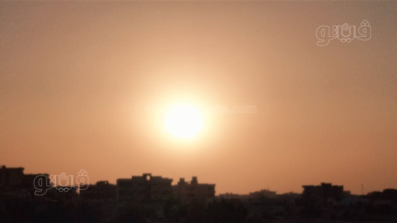 الوادي الجديد، ڤيتو