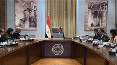 الحكومة تكشف مصير المحلات التجارية بمنطقة وسط البلد بعد عملية التطوير