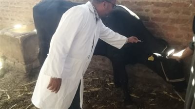 استمرار الحملة القومية الأولى للتحصين ضد الحمى القلاعية والوادي المتصدع في قنا