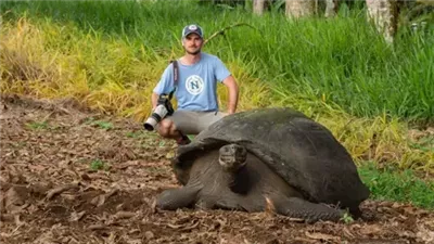 أثارت الدهشة.. سلحفاة تبيض للمرة الأولى بعمر 100 عام