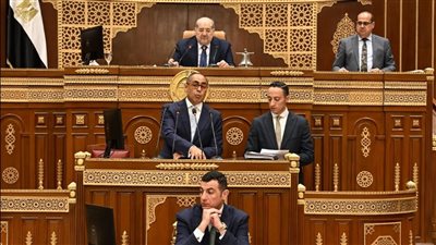 الحكومة تكشف خطتها أمام الشيوخ لحل مشكلات شركات الأشخاص بقانون التجارة 