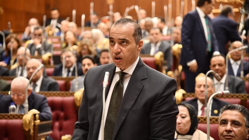 وزير الشئون النيابية،