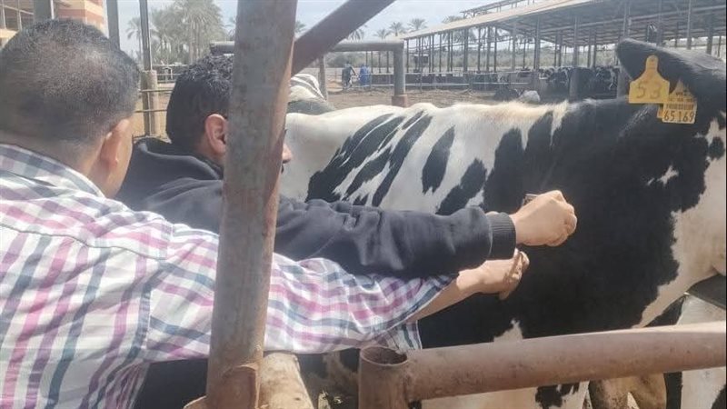 جانب من الحملة، فيتو