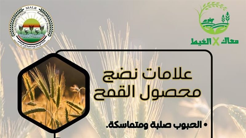 زراعة 