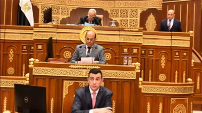 مطالب بالشيوخ لحل معوقات الإفراج الجمركي