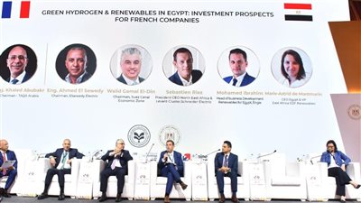 منتدى الأعمال المصري الفرنسي يؤكد أهمية تطوير مشروعات الطاقة المتجددة 