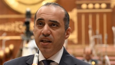 الحكومة أمام الشيوخ: الدولار متاح ولا يوجد عذر للتعامل خارج الجهاز المصرفي 