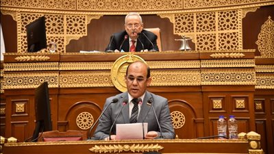 نائب أمام الشيوخ: أطالب بحل مشكلات المستوردين في الإفراج الجمركي