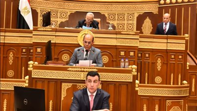 الشيوخ يحيل دراسة بشأن تطوير النظام الجمركي لرئيس الجمهورية 