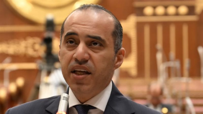 المستشار محمود فوزي
