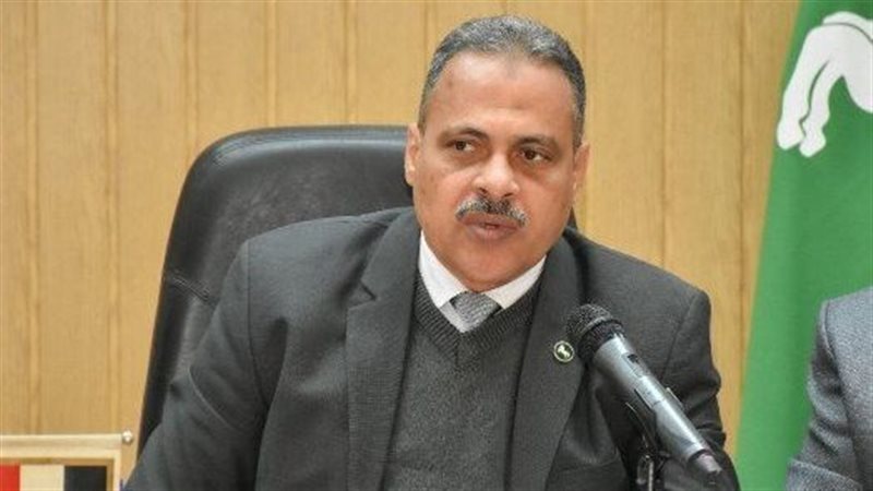 محافظ الشرقية