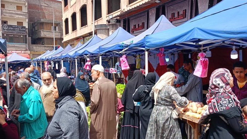الإسكندرية 