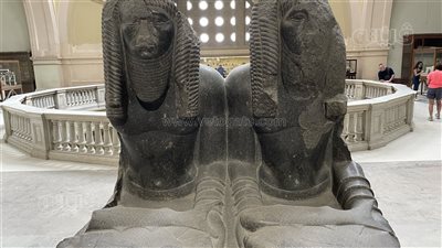 طعام المصري القديم بين الحياة والموت والعبادة.. معرض مؤقت بالمتحف المصري بالتحرير.. وهذه أبرز طرق صناعة الخبز عند الفراعنة (صور) 