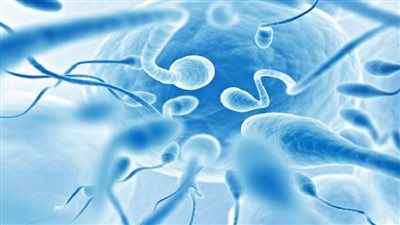 بشرى سارة للرجال، تقنية جديدة قد تحل مشكلة العقم نهائيا