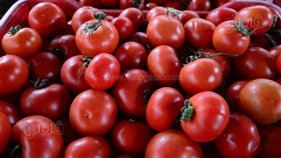 تراجع سعر الخضراوات في سوق مصر القديمة، وهذه أبرز الأسعار (فيديو وصور)