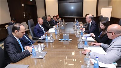 كامل الوزير: اهتمام فرنسي بالتعاون في مجال إنشاء مصانع لإنتاج خلايا الطاقة الشمسية