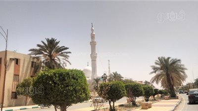 رياح ساخنة مثيرة للرمال والأتربة تضرب الوادي الجديد (فيديو وصور) 