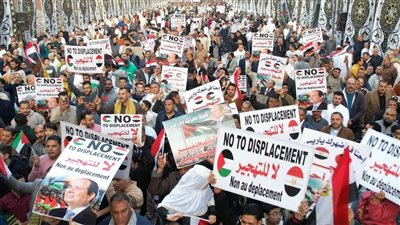 بأعلام مصر ولافتات 