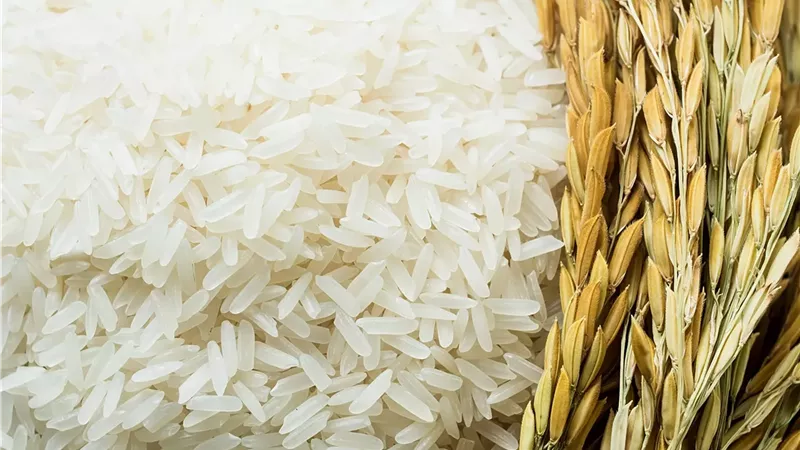 نداء عاجل للحكومة