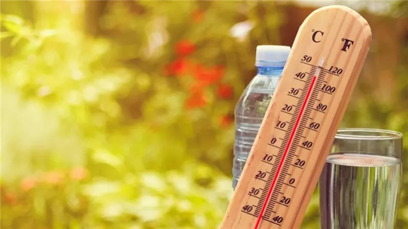 درجات الحرارة، فيتو