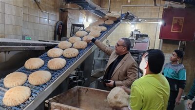 ضبط 9 أطنان دقيق وملح ومخللات ولحوم في حملة تموينية بالدقهلية 