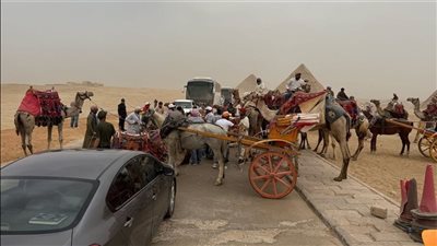  زاهي حواس يطالب بزيادة عدد الحافلات الكهربائية ببوابة الأهرامات الجديدة إلى 100