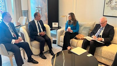 وزير الخارجية يؤكد لنائبة المبعوث الأمريكي للشرق الأوسط رفض مصر لتهجير الفلسطينيين