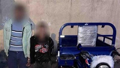 فيديو يرصد واقعة سرقة هاتف سيدة وسحلها في الإسكندرية.. وتحرك عاجل من الشرطة 