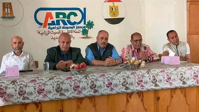 الوادي الجديد، ڤيتو