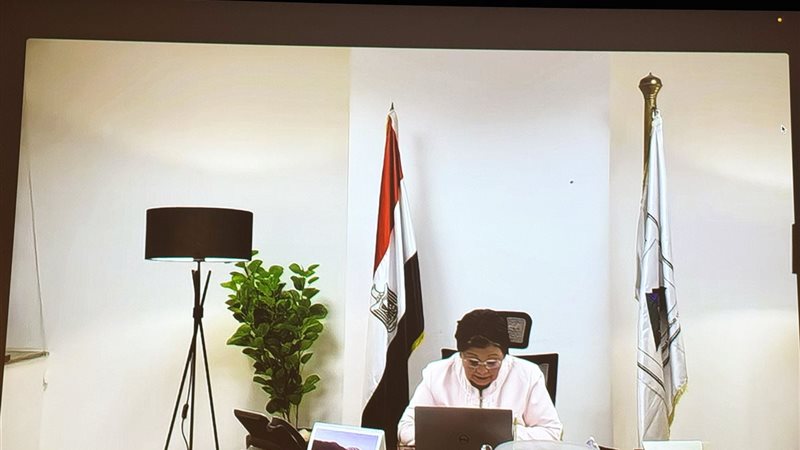 د. عبلة الألفي، فيتو