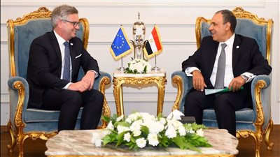 تفاصيل لقاء وزير الخارجية والمفوض الأوروبي للشئون الداخلية والهجرة